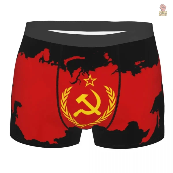 Caleçon boxeur Russie aigle bicéphale argenté - vue 3