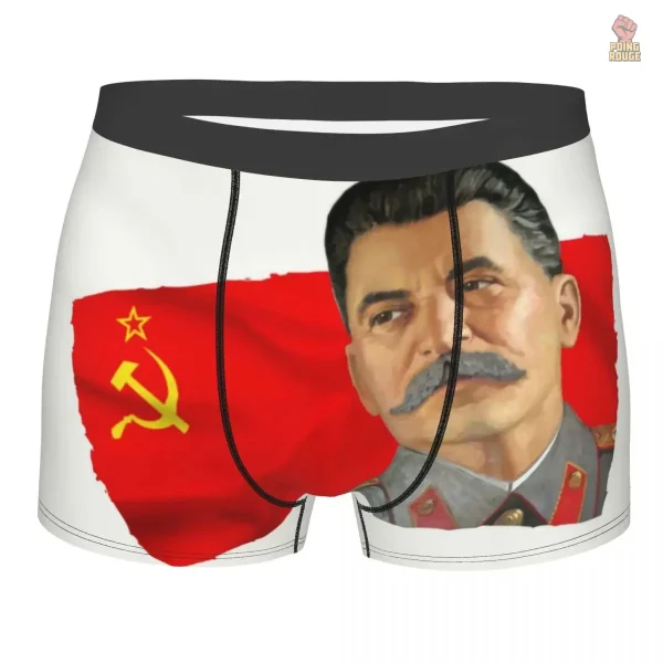 Caleçon boxeur Russie aigle bicéphale argenté - vue 10