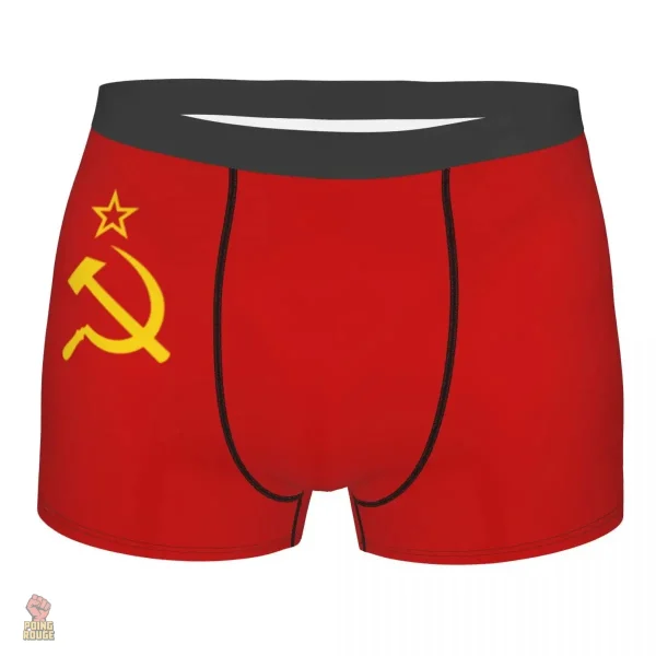 Caleçon boxeur Russie aigle bicephale doré - vue 4