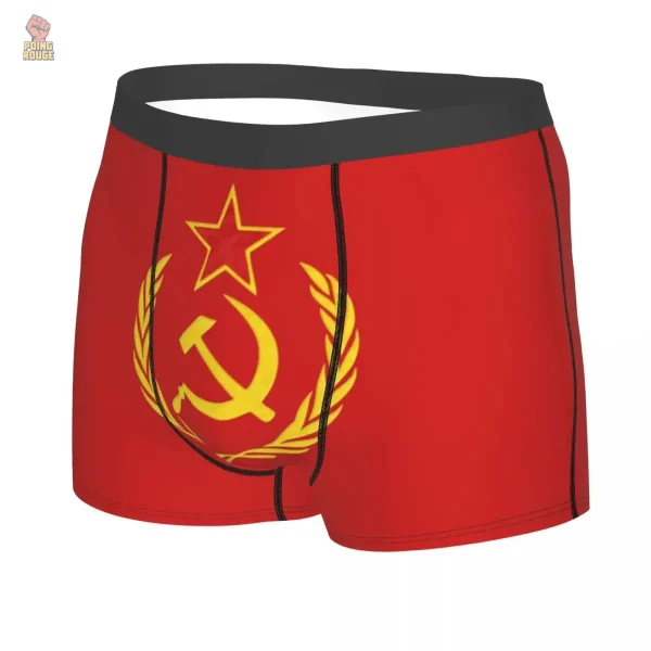 Caleçon aux motifs drapeau russe