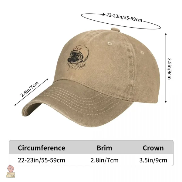 Style rétro avec casquette CCCP et chien astronaute