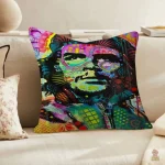 Coussin inspirant avec portrait de Che Guevara