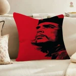 Coussin Che Guevara pour ambiance artistique