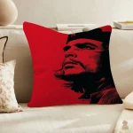 Housse de coussin avec motif révolutionnaire