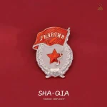 Pin badge Gvardia argent CCCP