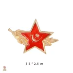 Accessoire élégant avec étoile dorée